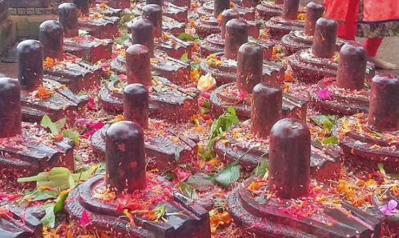 १०८ शिवलिङ्ग प्रतिस्थापन